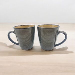Set of 2 Sango Roma Sage Mugs